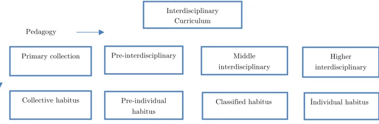 Figure 3.Interdisciplinarycurriculum in accordance with knowledge theory and habitus Interdisciplinary 