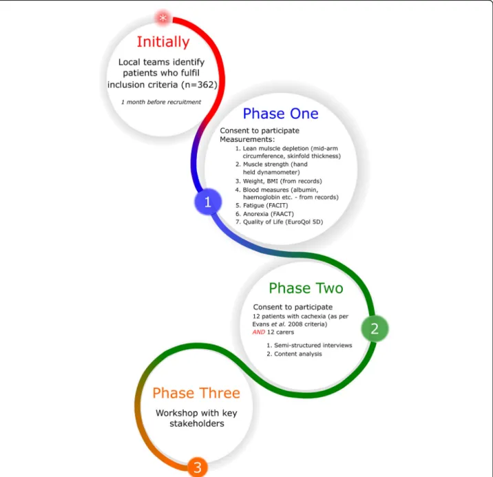 Fig. 2 Flow diagram, showing basic detail of the three phases of the study
