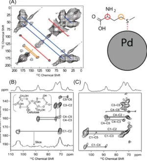 Figure 5. Examples of DNP-enhanced 2Dand the low-coverage products of its oxidative breakdown on Al 13C−13C correlation SSNMR spectroscopy