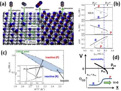 Figure 5. (a) Schematic for CO oxidation on Pd(100). Behavior from KMC simulation of a realistic msLG model witha reactive (R) and an inactive near-CO-poisoned (P) state (blue arrows indicate hysteresis upon cyclinga nonequilibrium critical point consisten