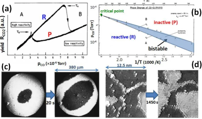 Figure 6. Experimental observations for CO oxidation on Pt(111): (a) hysteresis at 413 K for10and inactive near-CO-poisoned (P) states; (b) bifurcation diagram including a nonequilibrium critical point; (c) PEEM images at 413 K for expansion ofreactive sta