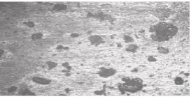 Figure 5. Microstructure of weldment from optimized process parameters. 