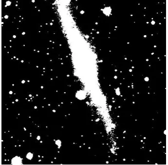 Fig 5: Cropped image from the original one. 