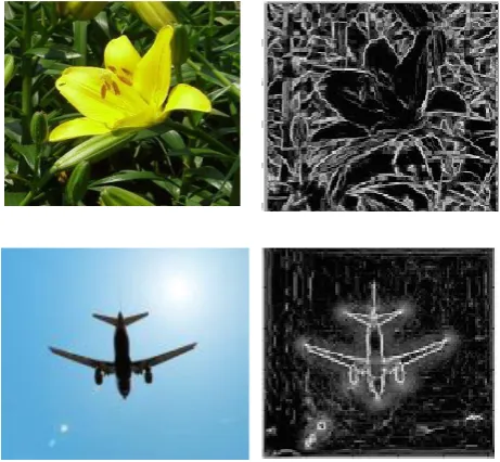 Figure 4. Original Image and Corresponding phase Congruency image 