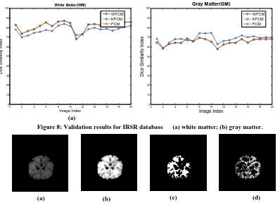 Figure 8: Validation results for IBSR database      (a) white matter; (b) gray matter