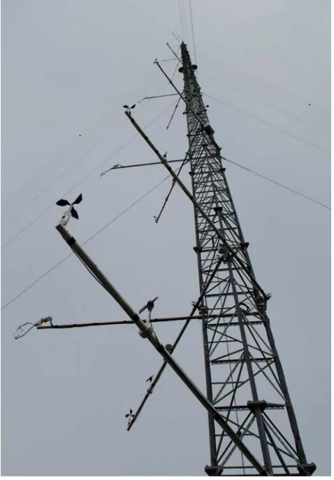 Figure 4: Tall tower instrumentation. 