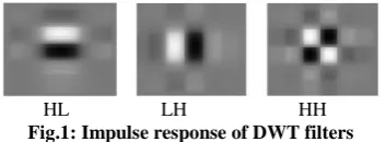 figure 1. The LH and HL wavelets are oriented vertically and horizontally, the HH wavelet has a checkerboard appearance and is oriented diagonally