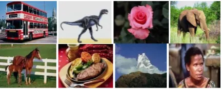Fig 5: Sample Database images. 5.2 Image Feature Extraction  