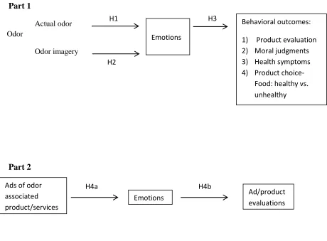 Figure 2. General hypotheses framework 