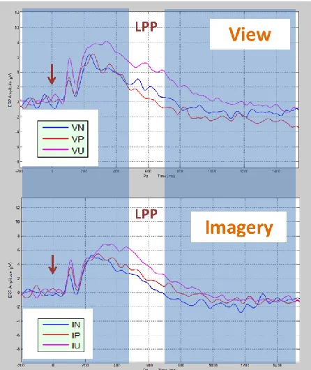 Figure 8. LPP waveforms under view and imagery tasks (a) Normal (b) Sensitive. VN: 