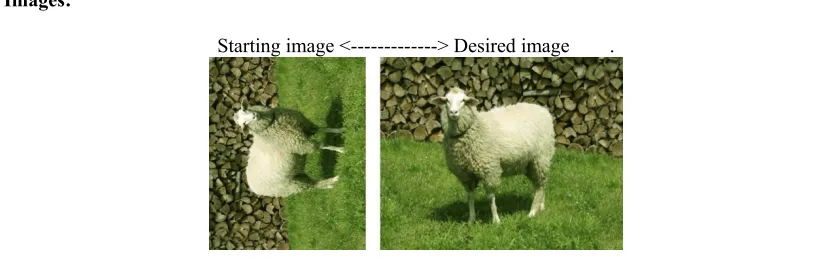 Table 4:  An example of a training module in the Paint.NET training used as a guide to complete an image processing task