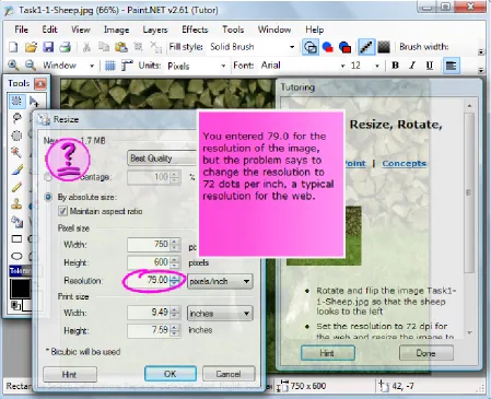Figure 5: Paint.NET interface enhanced with ITS-tutor. The Resize and Tutoring windows are part of the ITS tutor