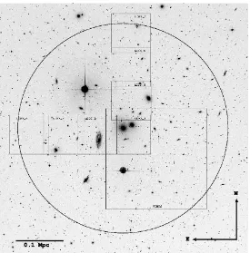 Fig. 2.1. 45indicates the cluster core radius′×45′ (540×540 kpc at the cluster distance) image of the Hydra I cluster centred on NGC 3311,extracted from the Digital Sky Survey (DSS)