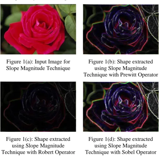 Figure 1(a): Input Image for Slope Magnitude Technique 