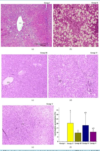 Figure 4. Effects of olive oil supplementation on hepatic lipid droplet accumulation in HFD-fed mice in NALFD model