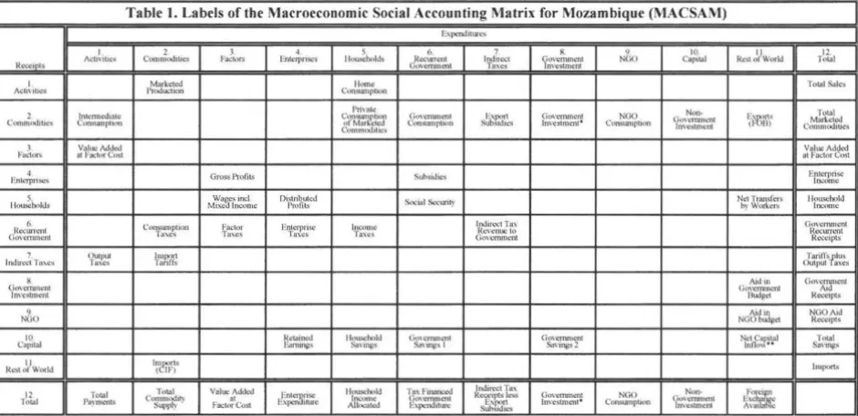 Table I. Labels of the Macroeconomic Social Accounting Matrix for Mozambique (MACSAI) 