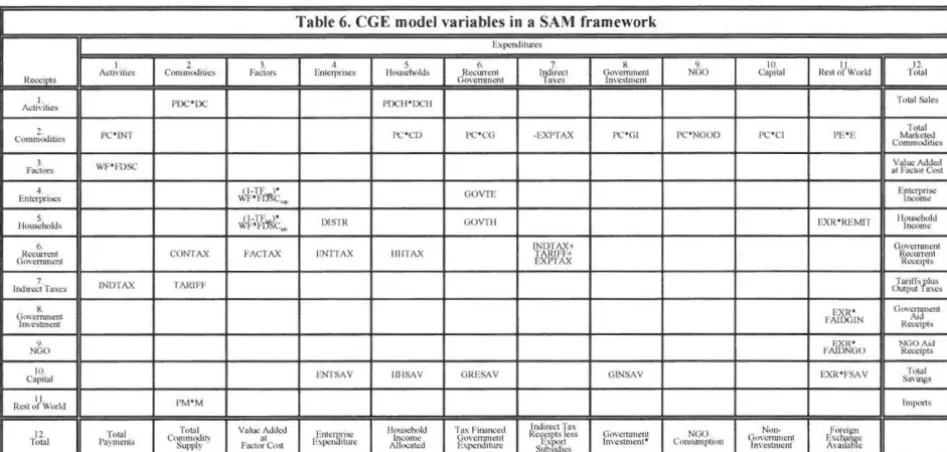 Table 6. CGE model variables in a SAM framework 
