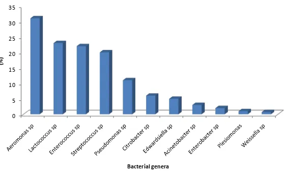 Figure 3. Percentage of bacterial genera identified by 16S rRNA gene of the 178 isolates of this study distributed in the states of Mato Grosso do Sul, São Paulo, Paraná and Rio de Janeiro