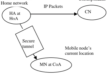 Figure 1(a) Before Mobile IPv6 