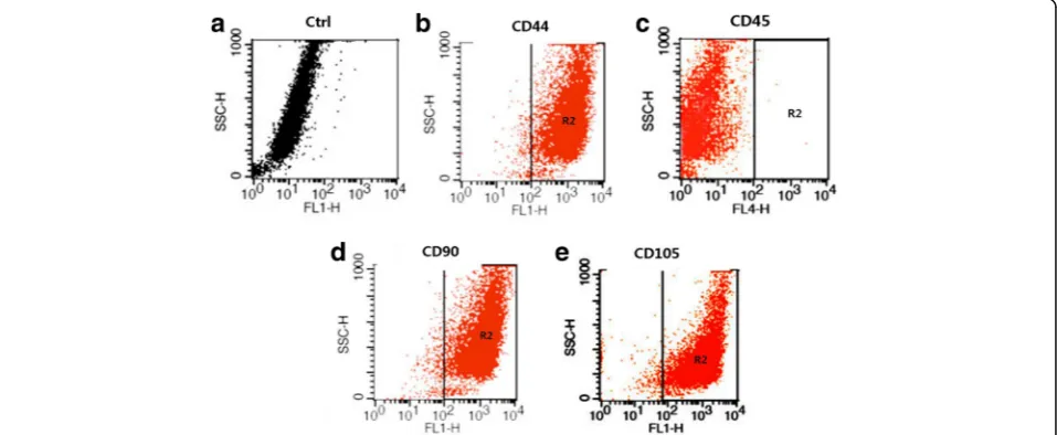 Fig. 2 ALP activity of ADSCs lysis solution after osteogenesis inductionincrease with the extension of induction time