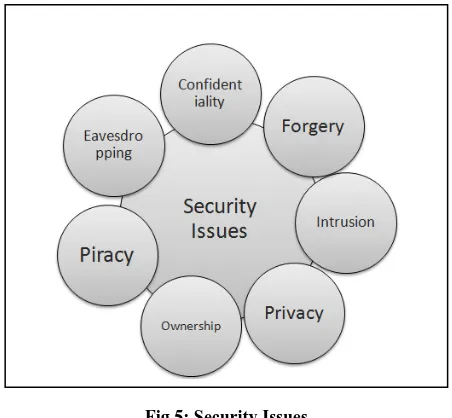 Fig 5: Security Issues 