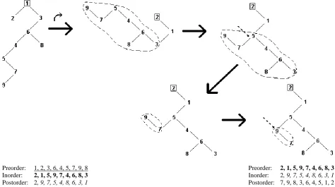 Figure 5: CCW() of a tree using turning and downshift. After the turn, the new root of the tree is ‘3’, the wedge node is ‘4’, its true ancestor is ‘2’, its illusory ancestor is ‘5’ and its illusory root is ‘7’, since the illusory ancestral stem of nodes 
