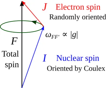 Figure 1. Spin coupling between the nuclear (I) and electron(J) spins, combining such that F = I + J