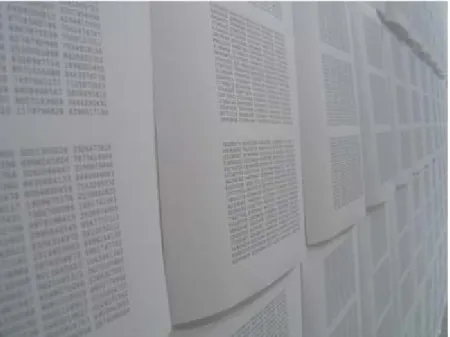 Figure 1. Is capable of not not-being installation, Centre for Drawing, London, 2008: 