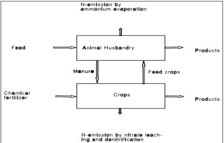 Fig. 1. Illustration of Nitrogen flow on a typical farm  