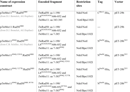 Table 2: DNA oligonucleotides used for in vitroBolt, 2005).oligonucleotide in annealing buffer (40 mM Tris pH 7.5, 100 mM NaCl, 10 mM MgCl activity assays