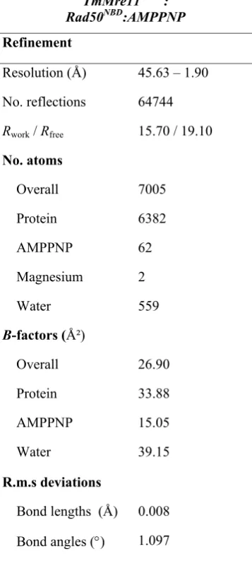 Table 10: Summary of crystallographic data and refinement statistics of the T. maritima Mre11HLH:Rad50NBD complex in its AMPPNP bound state