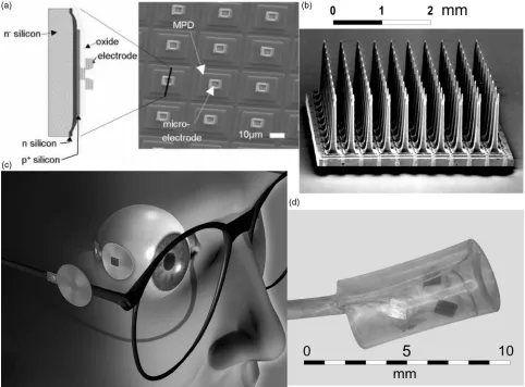 Figure 6. Picture of a number of different electrodes characterising the various approaches to thevisual prosthesis