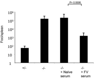 Figure 10. Transfer of serum from infected wild-type mice to Myd88 knockout mice rescues control of F-MLV