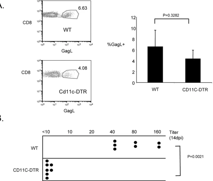 Figure 4. Dendritic cells are required for the neutralizing antibody response to F-MLV