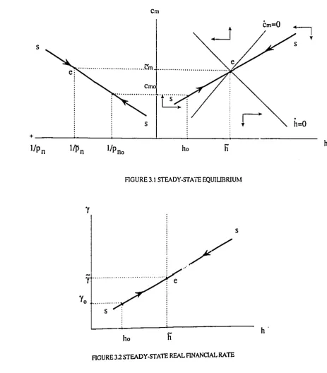 FIGURE 3.2 STEADY ·STATE REAL FINANCIAL RATE 