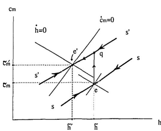 FIGURE 3.3 DYNAMICS OF TRADE REFORM 