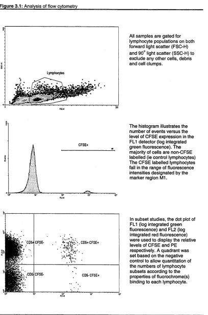 Figure 3.1: Analysis of flow cytometry