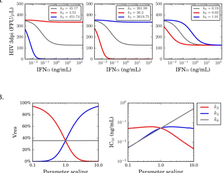 Fig 5. Differential effects of inhibitory parameters of the potency of IFN α. (A) Experimentally measured values for k 2 (left panel), k 3 (middle panel) and k 8 (right panel), were modulated up (blue) and down (red) by 10-fold, and the effect on the outco