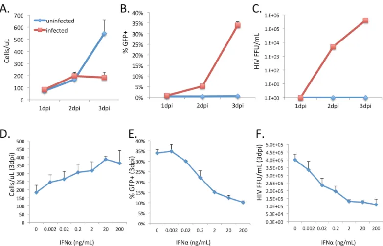 Fig 1. Inhibition of spreading HIV-1 infection by IFN α. A human CD4 T cell line was infected with HIV-1 and the total concentration of cells (A), the proportion of infected (GFP+) cells (B), and the concentration of infectious virus in the supernatant (C)