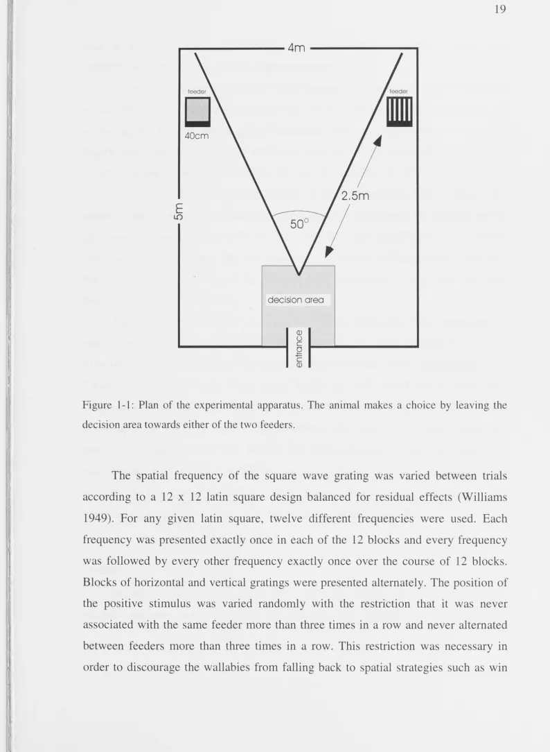 Figure 1-1: Plan of the experimental apparatus. The animal makes a choice by leaving the 