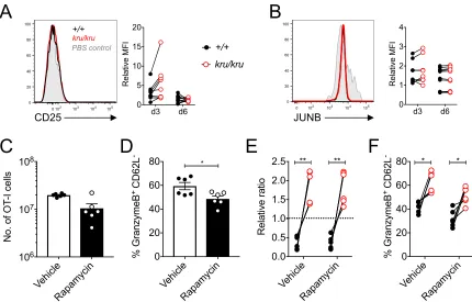 Figure 3.S3. JUNB and CD25 expression levels are unchanged by Ndfip1 loss. 