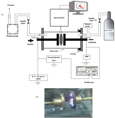 Figure 1(a) 