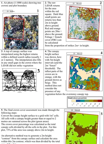 Figure 19: Steps to generate foliage branch cover, and CHM crown cover from LiDAR 