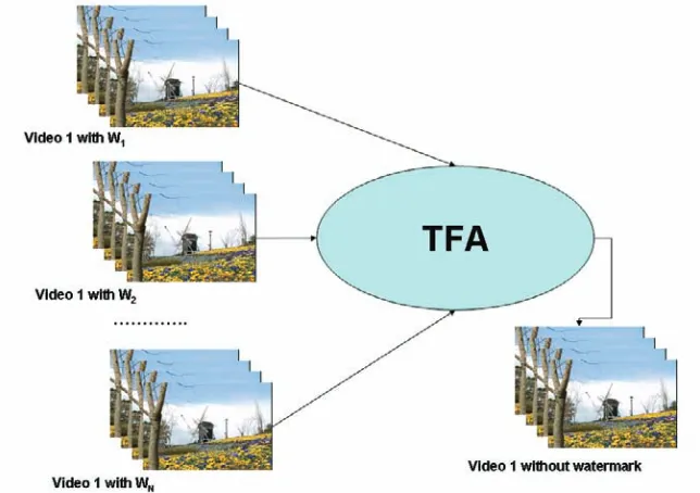 Figure 2. TFA attack applied in inter-video collusion: colluders group together owing the same video with different watermarks and apply a TFA collusion attack to obtain an unwatermarked video