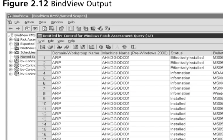 Figure 2.12 BindView Output