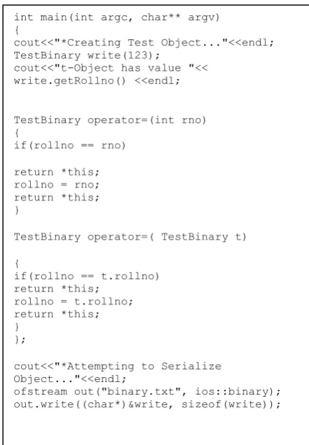 Figure 9: Main function to serialize object write 
