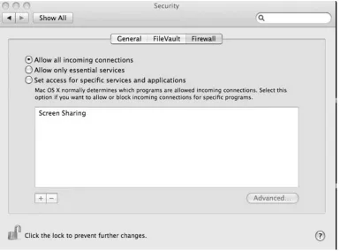 Figure 4.3 Firewall Options