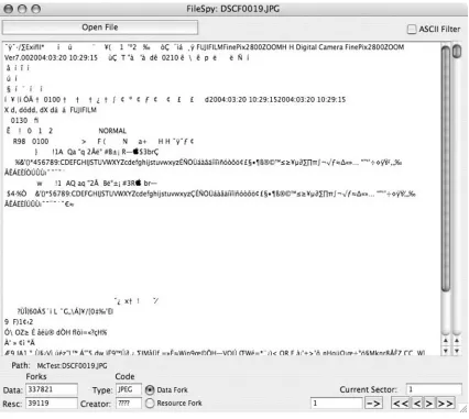 Figure 1. FileSpy Allows You to See the Raw EXIF Data in a JPG File
