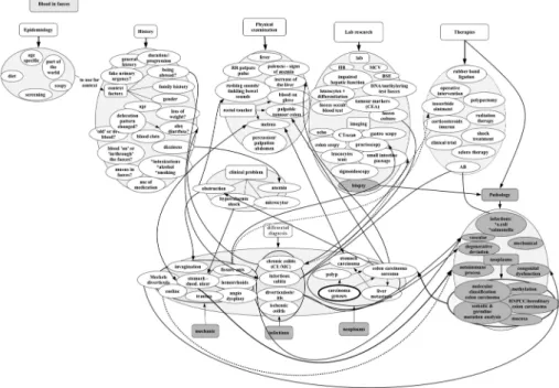 Fig. 2 Concept map about blood in faeces, constructed by an experienced group: a GP, a surgeon and a pathologist