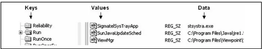 Figure II.1 Extract from RegEdit showing keys, values, and data